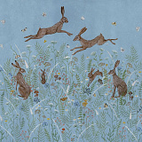 Woodland Hares