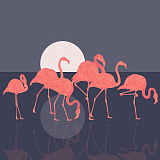 Flamingo