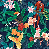 Tropical pattern