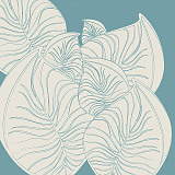 Monstera