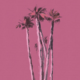 Palms