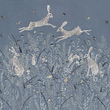 Woodland Hares