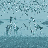 Giraffes