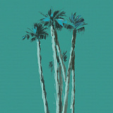 Palms