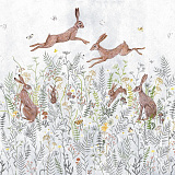 Woodland Hares