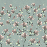 Magnolia hedge