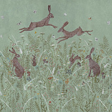 Woodland Hares