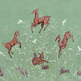 Bambi fawns