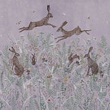 Woodland Hares