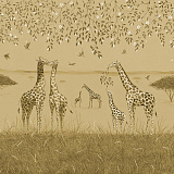 Giraffes